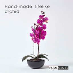 Homescapes Artificial Cerise Pink Handcrafted Oriental Style Orchids In Black Bowl, 54 Cm - thumbnail 2