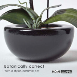 Homescapes Artificial Cerise Pink Handcrafted Oriental Style Orchids In Black Bowl, 54 Cm - thumbnail 4