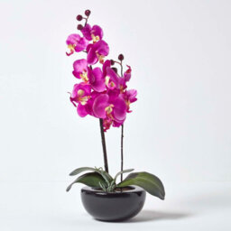 Homescapes Artificial Cerise Pink Handcrafted Oriental Style Orchids In Black Bowl, 54 Cm