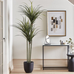 Wyld And Coco Luxe Dracaena Tall Artificial Plant 198Cm In Pot - Green Indoor Decor For Living Rooms - thumbnail 2