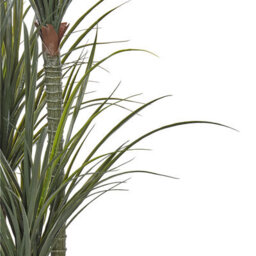 Wyld And Coco Luxe Dracaena Tall Artificial Plant 198Cm In Pot - Green Indoor Decor For Living Rooms - thumbnail 3