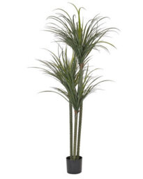 Wyld And Coco Luxe Dracaena Tall Artificial Plant 198Cm In Pot - Green Indoor Decor For Living Rooms - thumbnail 1
