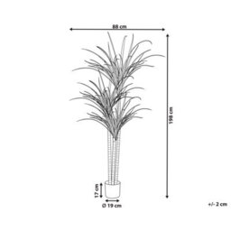 Wyld And Coco Luxe Dracaena Tall Artificial Plant 198Cm In Pot - Green Indoor Decor For Living Rooms - thumbnail 4