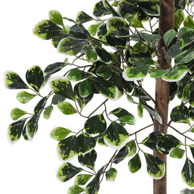 Thehotsale Artificial Zamioculcas Decorative Plant In Pot 185 Cm H - image 1