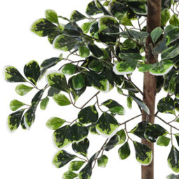 Thehotsale Artificial Zamioculcas Decorative Plant In Pot 185 Cm H - thumbnail 1
