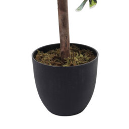 Thehotsale Artificial Zamioculcas Decorative Plant In Pot 185 Cm H - thumbnail 5