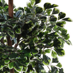 Thehotsale Artificial Zamioculcas Decorative Plant In Pot 185 Cm H - thumbnail 3