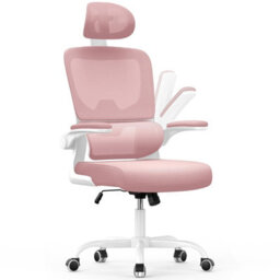 Onemill Computer Chair With Adjustable Lumbar Support And Headrest, Swivel Executive Mesh Office Chair For Home Office-Pink - thumbnail 1