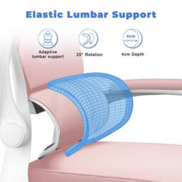 Onemill Computer Chair With Adjustable Lumbar Support And Headrest, Swivel Executive Mesh Office Chair For Home Office-Pink - thumbnail 3