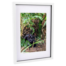 "Nicola Spring 3D Box Photo Frame With A4 Mount - A3 (12"" X 17"") - White/white" - thumbnail 1