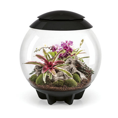 Oase Biorb Air 60 Litre Automatic Terrarium In Black With Led Lighting - image 1