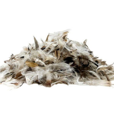 1Kg Ethically Sourced Real Natural Duck Feather Loose Filling, Ideal For Toy Stuffing, Cushions, Sofas And Crafts - image 1
