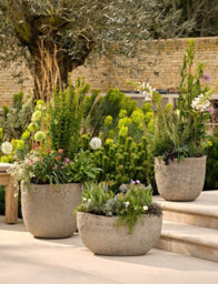 Garden Trading Cranford Oval Planter Plant Flower Tree Pot Grey Cement Style - thumbnail 2
