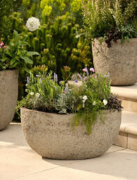 Garden Trading Cranford Oval Planter Plant Flower Tree Pot Grey Cement Style