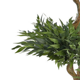 Beliani Artificial Potted Ruscus Tree 166 Cm Green With Cement Base - Indoor Decor Accent - thumbnail 3