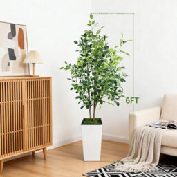 London Boutique Artificial Ficus Tree With Tall Planter, 180 Cm Faux Indoor Plant, Uv Resistant Silk Leaves, White Pot Decor - thumbnail 2