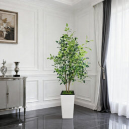 London Boutique Artificial Ficus Tree With Tall Planter, 180 Cm Faux Indoor Plant, Uv Resistant Silk Leaves, White Pot Decor - thumbnail 6