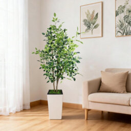 London Boutique Artificial Ficus Tree With Tall Planter, 180 Cm Faux Indoor Plant, Uv Resistant Silk Leaves, White Pot Decor - thumbnail 5