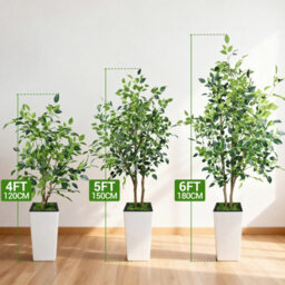 London Boutique Artificial Ficus Tree With Tall Planter, 180 Cm Faux Indoor Plant, Uv Resistant Silk Leaves, White Pot Decor - thumbnail 8