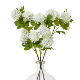 Hill Interiors Snowball Viburnum Artificial Flower Spray Cream (77Cm) - thumbnail 4