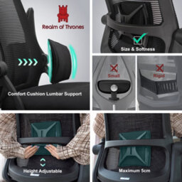 Realm Of Thrones Height Adjustable Office Chair With Padded Lumbar Support Mesh Back Flip Up Arms Desk Chair For Home Office - thumbnail 7