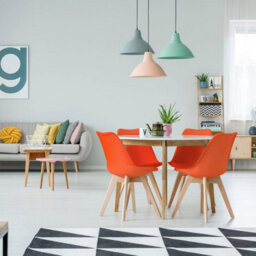 Bravich Rocco Tulip Dining Chair - Orange - Set Of 4 - thumbnail 3