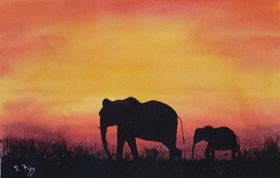 Over Africa 35.6 X 25.4 X 0 Cm (14 X 10 X 0 Inches)
