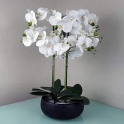 Leaf 60Cm Orchid Artificial White Black Ceramic Planter - thumbnail 8