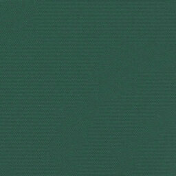 Berkfield Retractable Side Awning Dark Green 180X600 Cm - thumbnail 9