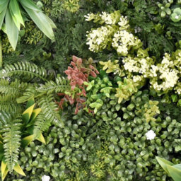 True Products Premium Artificial Living Wall Green Plant Panel 50Cm X 50Cm - Aurora 'b' - thumbnail 4