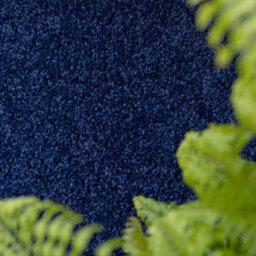 Loomed Soft Value Navy Blue Shaggy Area Rug 180X270Cm - thumbnail 2