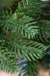 Christmas Tree World The 6Ft Ultra Mixed Pine Garland - thumbnail 5