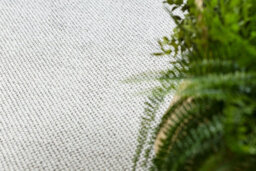 RugsX Carpet Casablanca Loom Silver, Loop, Soft Indoor & Outdoor 250X350 Cm - thumbnail 5