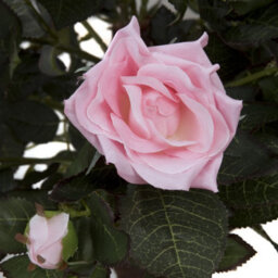 GreenBrokers Artificial Pink Rose Tree 30 Flowers 120Cm/4Ft - thumbnail 4