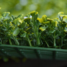 Outsunny 12Pcs 50Cm X 50Cm Artificial Boxwood Panel Milan Grass With Flowers - thumbnail 9