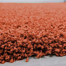 Wadan 60X110Cm Terracotta Shaggy Rug - Rectangular Soft Touch Thick Pile Modern Area Rug - Rugs For Living & Bedroom Non Shedding - thumbnail 2