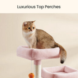 Feandrea Cat Tree, 168 Cm Large Cat Tower Condo With 13 Scratching Posts, 1 Scratching Ramp, 2 Perches, 2 Caves, Basket - thumbnail 3