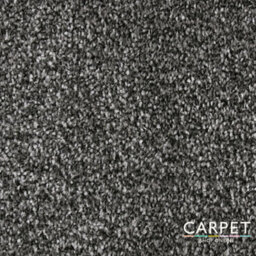 Carpet Shop Online Serene Saxony Iron Dark Grey Carpet 2M X 4M - thumbnail 2