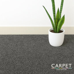 Carpet Shop Online Serene Saxony Iron Dark Grey Carpet 2M X 4M - thumbnail 4