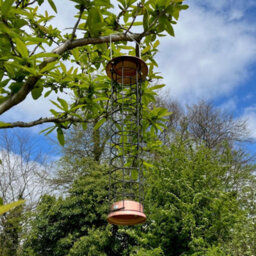 Selections Large Copper Style Hanging Bird Suet Fat Ball Feeder