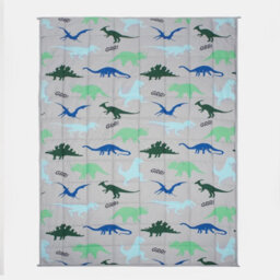 OHS Weighted Blanket Kids Dino Sensory Sleep Therapy Anxiety Soft Teddy Fleece Throw - thumbnail 4