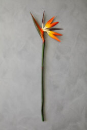 Orsina Bird Of Paradise - 92Cm, Exotic Faux Flower With Bold Orange And Purple Petals, Adds A Tropical Touch - thumbnail 2