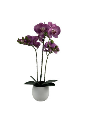 GreenBrokers Elegant  Large Triple Stem Purple Real Touch Artificial Potted Orchid (65Cm) In Round White Ceramic Pot - image 1