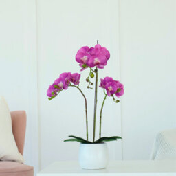 GreenBrokers Elegant  Large Triple Stem Purple Real Touch Artificial Potted Orchid (65Cm) In Round White Ceramic Pot - thumbnail 2