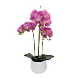 GreenBrokers Elegant  Large Triple Stem Purple Real Touch Artificial Potted Orchid (65Cm) In Round White Ceramic Pot - thumbnail 3
