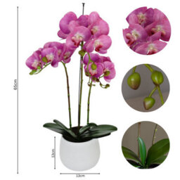 GreenBrokers Elegant  Large Triple Stem Purple Real Touch Artificial Potted Orchid (65Cm) In Round White Ceramic Pot - thumbnail 4