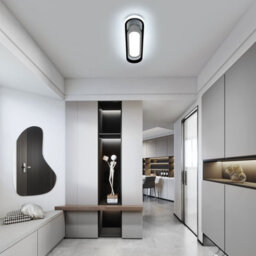 Pheashine Sleek Oval Led Ceiling Light 21W 6500K Daylight Black And White 40X10.5X5Cm - thumbnail 4