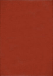 The Rugs Reversible Waterproof Plain Outdoor Rug Urban 1000 Terra - thumbnail 2