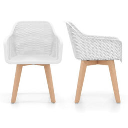 Gainoom Modern Plastic Dining Chairs Set Of 2 Kitchen Armchairs Indoor Accent Side Chairs