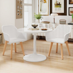 Gainoom Modern Plastic Dining Chairs Set Of 2 Kitchen Armchairs Indoor Accent Side Chairs - thumbnail 3